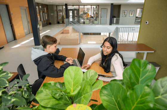 WAT STAAT ER IN HET PTA?